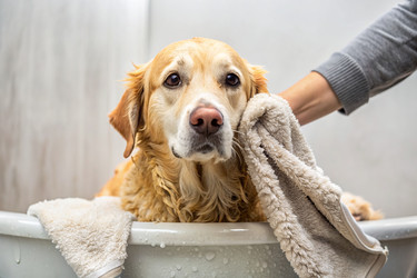 Similar image 22415786