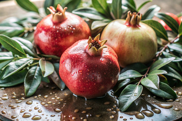 Similar image 22411437