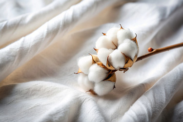 Similar image 22411564