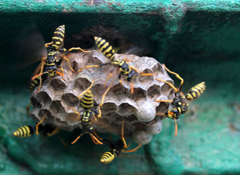 Similar image 22459222