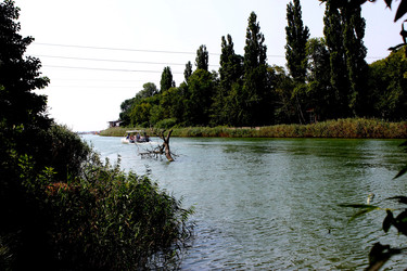 Similar image 22459223