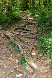 Similar image 22459250