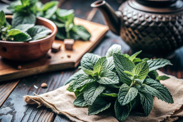 Similar image 22413621