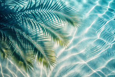 Similar image 22415316