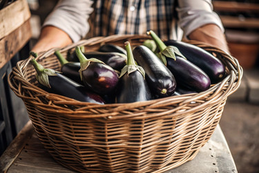 Similar image 22415922