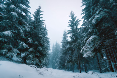 Similar image 22403638