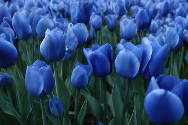 Similar image 22403461