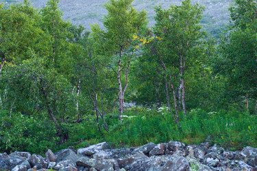 Similar image 22403462