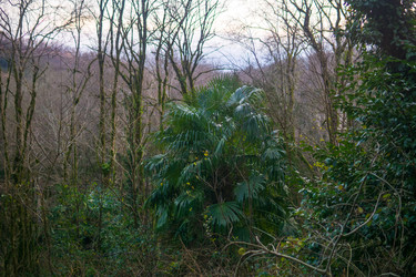 Similar image 22403464