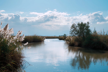 Similar image 22403465