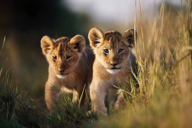 Similar image 22403625