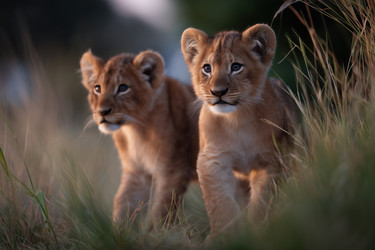 Similar image 22403627