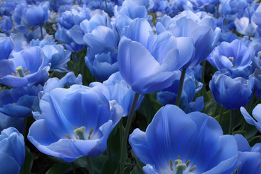 Similar image 22403628