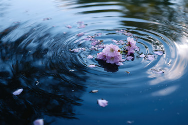 Similar image 22403632