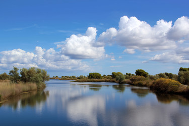 Similar image 22403634