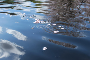 Similar image 22403641