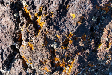 Similar image 22416253