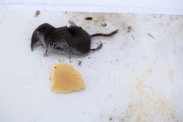 Similar image 22416254