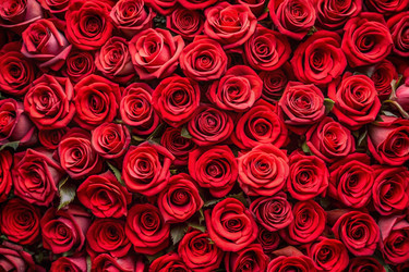 Similar image 22409376