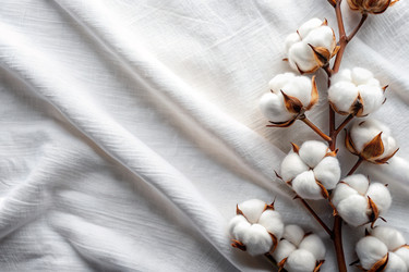 Similar image 22413281