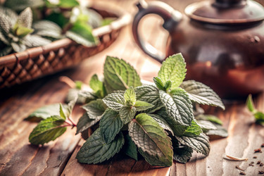 Similar image 22413601