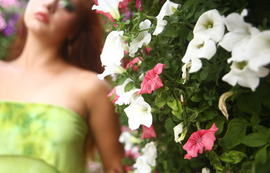 Similar image 22404158