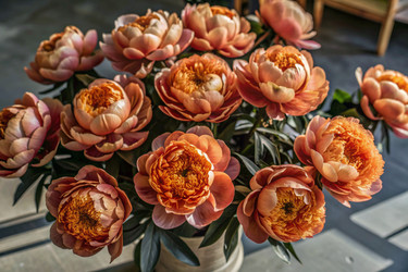 Similar image 22409048