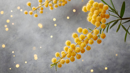 Similar image 22412700