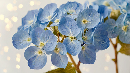 Similar image 22413121