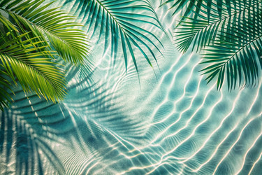 Similar image 22417404