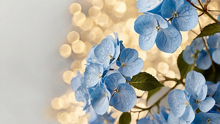 Similar image 22414347