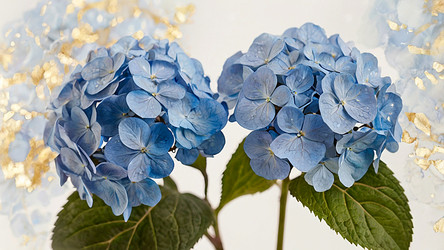 Similar image 22408898