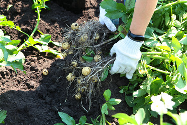 Similar image 22404336