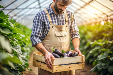 Similar image 22410075