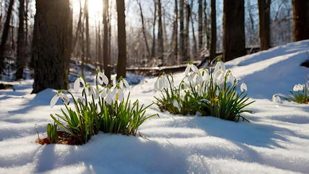 Similar image 22412566