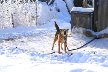 Similar image 22403780