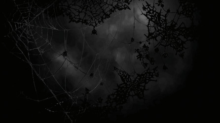 Similar image 22413948