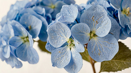 Similar image 22414487