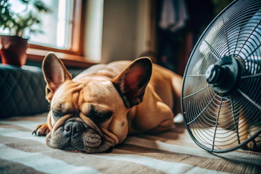 Similar image 22416032