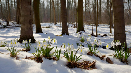 Similar image 22428720