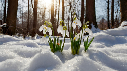 Similar image 22411121