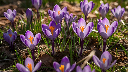 Similar image 22411195