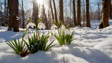 Similar image 22428829