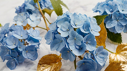 Similar image 22428944