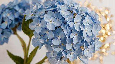 Similar image 22428954