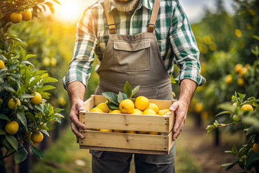 Similar image 22429040