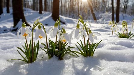 Similar image 22429259