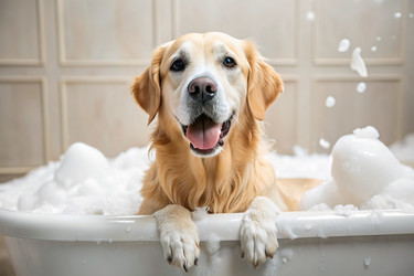 Similar image 22429300