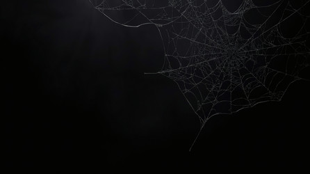 Similar image 22429311