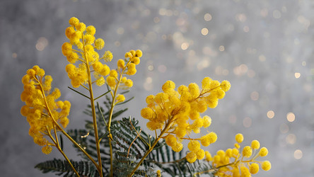 Similar image 22429471